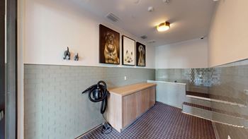 24/7 Paws pet spa